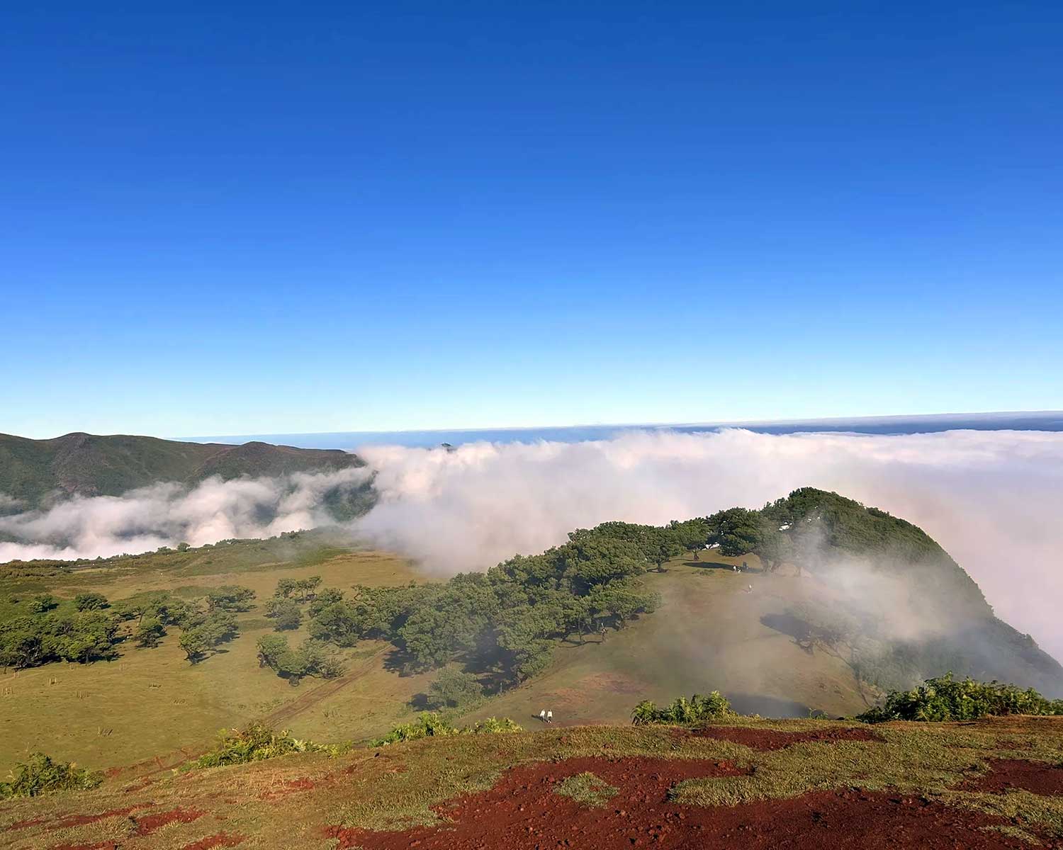 caldeirao_verde 7